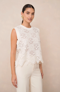 Semi-Transparent Embroidered Lace Top-White